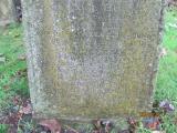 image of grave number 711268